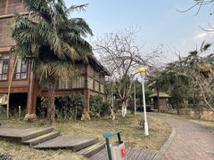 -洪湖悦兮半岛国际温泉度假村