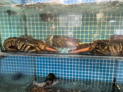 -启东小海鲜(庄先湾路1号店)