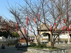 -枫桥景区