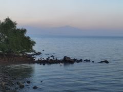 -深圳湾公园(南山区)