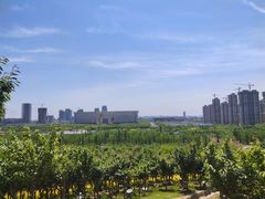 -河北省园博园