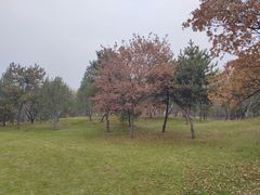 -森林公园(尖草坪区)