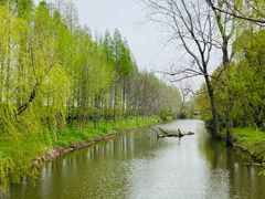 -上海滨江森林公园