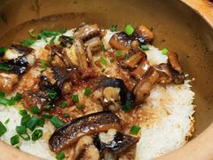-红星光发煲仔饭(文海店)
