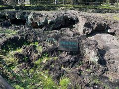 -海口火山口国家地质公园