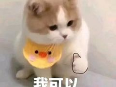 -左舞和风屋便当(金地店)