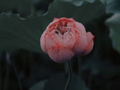 -黄兴公园