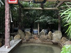 -天赐温泉