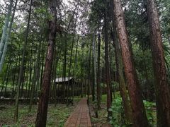 -崀山风景名胜区