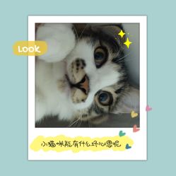 -凡碧诗毛孔收细