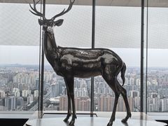 -北京柏悦酒店·锦庭餐厅Dining Room