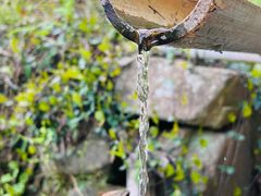 -宁波浙东大竹海景区