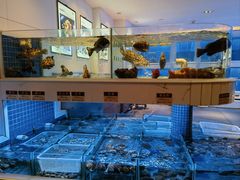 -金苑海鲜酒家(来魅力店)