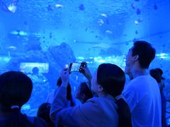 -石家庄极地海洋世界