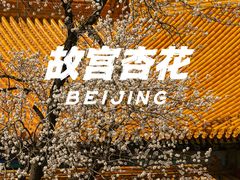 -故宫博物院(故宫)