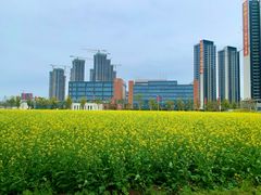 -光明小镇欢乐田园