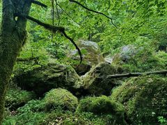 -龙苍沟森林公园