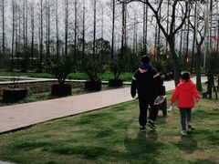 -前小桔亲子创意农场·草莓采摘·露营烧烤