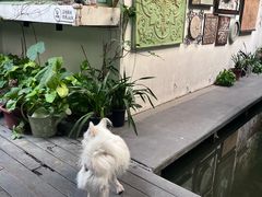 -绿房子方寸咖啡(星海名城店)