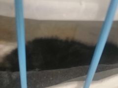-申普宠物医院·眼科·心内科·影像科(普陀分院)