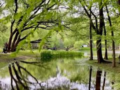 -上海共青森林公园