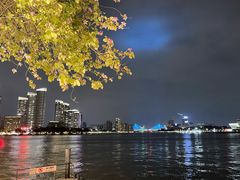 -广州白天鹅宾馆