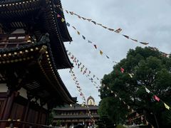 -庐山风景名胜区-东林大佛