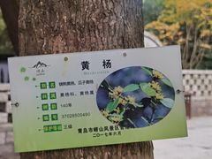 -青岛崂山太清宫