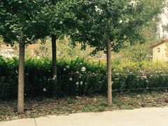 -意大利农场度假村