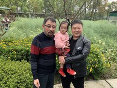 -洪湖家庭农场·团建·露营·会议