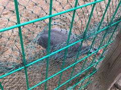 -武汉紫薇都市田园