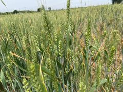 -瀛海足球主题公园