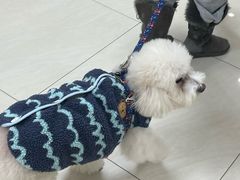 -美联众合动物医院·24h京西诊疗中心
