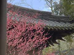 -慧因高丽寺