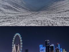 -深圳野生动物园