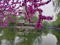 -近春园遗址