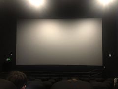 -博纳国际影城(南联IMAX店)