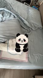 -安琪朵朵独栋花园月子中心
