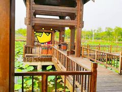 -天津东丽湖风景区