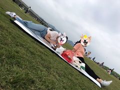 -光明小镇欢乐田园