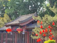 -中卫御苑福膳·养生局(圆明园店)