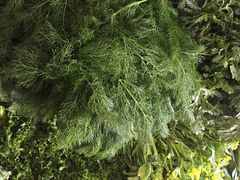 益恒饭店-白家寨子·山野白族菜(古城总店)