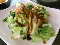 -双新垂钓园