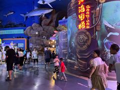 -烟台海昌鲸鲨海洋公园