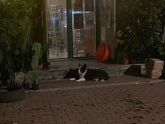 -哈尔滨北方国际青年旅舍(中央大街店)