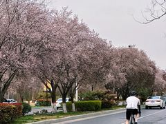 -河南省黄河迎宾馆