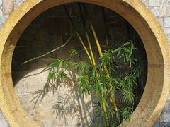 -广州神农草堂中医药博物馆
