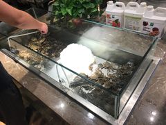 -欢乐牧场海鲜烤肉自助(牡丹园店)