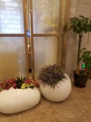 -成都艾特他整形外科医院