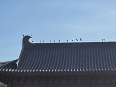 -横山寺